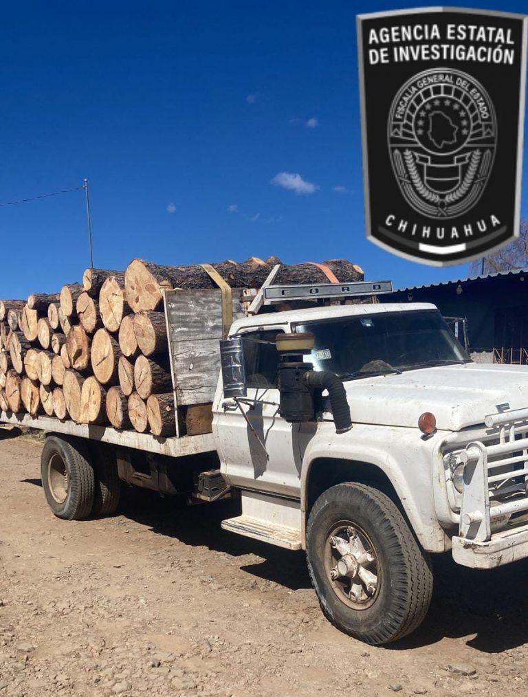 Detenido en flagrancia por transportar madera de forma ilegal en Guachochi