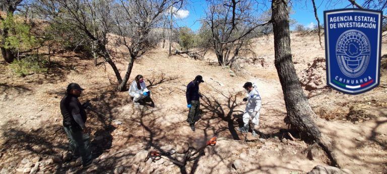 Localizan nuevos fragmentos óseos en rastreo en Rancho Dolores de Cuauhtémoc