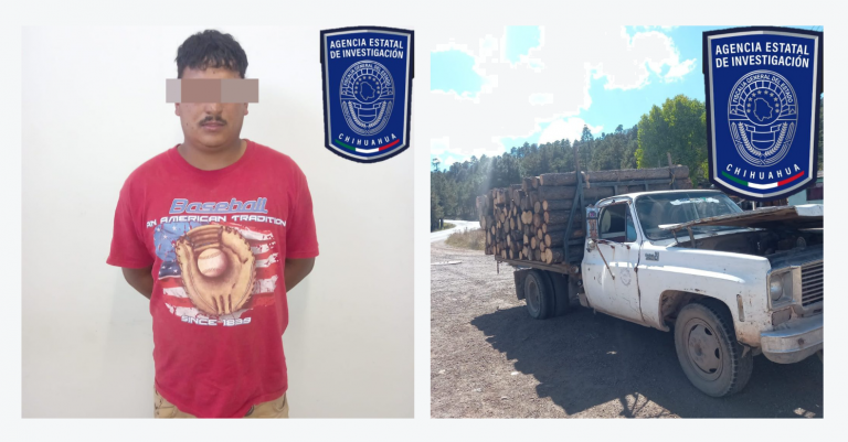 Detenido en flagrancia por transportar madera de forma ilegal en Guadalupe y Calvo