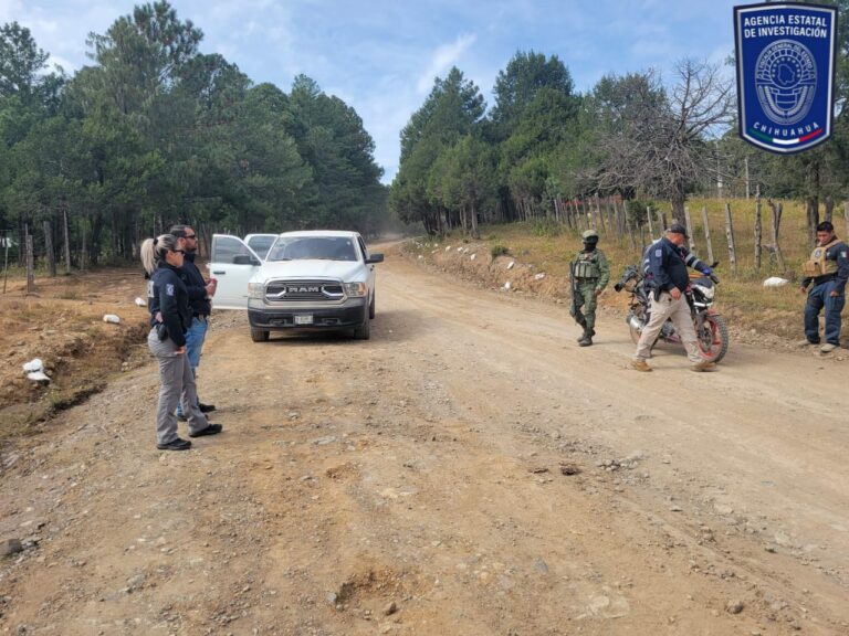 Intensifica AEI operativos contra la tala clandestina y otros delitos en la región sur