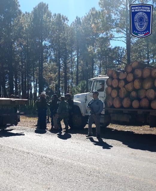 Despliega Operativo Conjunto revisión forestal en Ejido El Largo