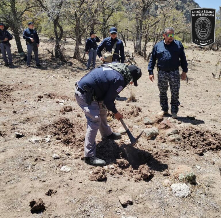 Realiza Fiscalía rastreo de búsqueda de desaparecidos en el cerro de Miñaca